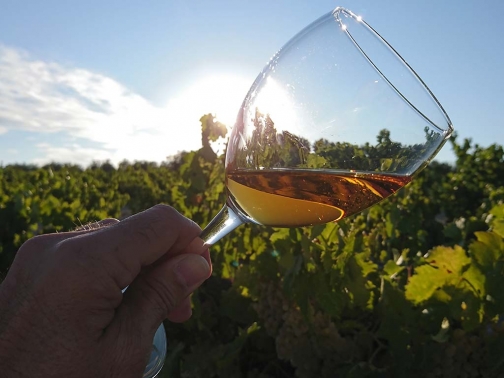 vino amontillado amanecer origen